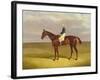 Margrave' with James Robinson Up, 1833-John Frederick Herring I-Framed Giclee Print