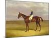 Margrave' with James Robinson Up, 1833-John Frederick Herring I-Mounted Giclee Print