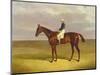 Margrave' with James Robinson Up, 1833-John Frederick Herring I-Mounted Giclee Print
