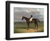 'Margrave' with James Robinson up by John Frederick Herring-null-Framed Giclee Print