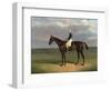 'Margrave' with James Robinson up by John Frederick Herring-null-Framed Giclee Print