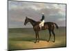 'Margrave' with James Robinson up by John Frederick Herring-null-Mounted Giclee Print
