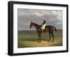 'Margrave' with James Robinson up by John Frederick Herring-null-Framed Giclee Print