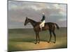 'Margrave' with James Robinson up by John Frederick Herring-null-Mounted Giclee Print