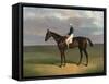 'Margrave' with James Robinson up by John Frederick Herring-null-Framed Stretched Canvas