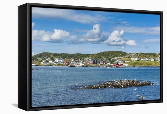 Marguerite Bay in St. Anthony, Newfoundland, Canada, North America-Michael Runkel-Framed Stretched Canvas