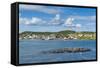 Marguerite Bay in St. Anthony, Newfoundland, Canada, North America-Michael Runkel-Framed Stretched Canvas