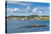 Marguerite Bay in St. Anthony, Newfoundland, Canada, North America-Michael Runkel-Stretched Canvas