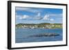 Marguerite Bay in St. Anthony, Newfoundland, Canada, North America-Michael Runkel-Framed Photographic Print
