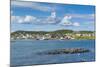 Marguerite Bay in St. Anthony, Newfoundland, Canada, North America-Michael Runkel-Mounted Photographic Print