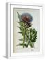 White Frame