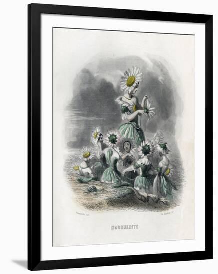 Marguerite (Daisy)-JJ Grandville-Framed Art Print