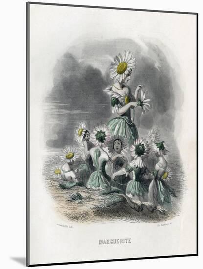 Marguerite (Daisy)-JJ Grandville-Mounted Art Print