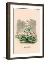 Marguerite-J.J. Grandville-Framed Art Print