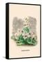 Marguerite-J.J. Grandville-Framed Stretched Canvas