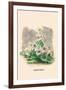 Marguerite-J.J. Grandville-Framed Art Print