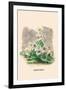 Marguerite-J.J. Grandville-Framed Art Print