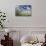 Marguerites (Leucanthemum Vulgare) in Flower, Eastern Slovakia, Europe, June 2009-Wothe-Photographic Print displayed on a wall