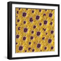 Marguerites-Viviane Fedieu Danielle-Framed Photographic Print