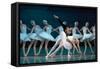 Maria Alexandrova, of the Bolshoi Ballet, as Odette in 'Swan Lake'-null-Framed Stretched Canvas