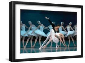 Maria Alexandrova, of the Bolshoi Ballet, as Odette in 'Swan Lake'-null-Framed Photographic Print