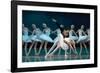 Maria Alexandrova, of the Bolshoi Ballet, as Odette in 'Swan Lake'-null-Framed Photographic Print