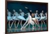 Maria Alexandrova, of the Bolshoi Ballet, as Odette in 'Swan Lake'-null-Framed Photographic Print