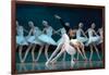 Maria Alexandrova, of the Bolshoi Ballet, as Odette in 'Swan Lake'-null-Framed Photographic Print