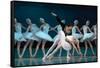 Maria Alexandrova, of the Bolshoi Ballet, as Odette in 'Swan Lake'-null-Framed Stretched Canvas