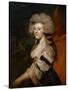 Maria Anne Fitzherbert, C.1788-Joshua Reynolds-Stretched Canvas