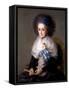 María Antonia Gonzaga, Marchioness Widow of Villafranca, Ca. 1795-Francisco de Goya-Framed Stretched Canvas