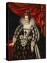 Maria de Medici, Queen of France, 1611-Frans Pourbus The Younger-Stretched Canvas