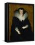 Maria De' Medici, Queen of France, Wife of Henry IV-Peter Paul Rubens-Framed Stretched Canvas