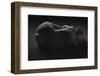 Maria I-Jois Domont-Framed Photographic Print