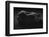 Maria I-Jois Domont-Framed Photographic Print