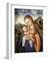 Maria Mit dem Kinde, um 1518-Lucas Cranach the Elder-Framed Giclee Print