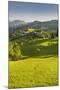 Maria Neustift, Foothills of the Alps, Upper Austria, Austria-Rainer Mirau-Mounted Photographic Print