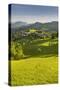 Maria Neustift, Foothills of the Alps, Upper Austria, Austria-Rainer Mirau-Stretched Canvas