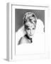 Maria Schell, Ca. 1965-null-Framed Photo