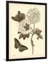 Gramercy Black