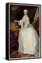 Maria Theresia, V Meytens-null-Framed Stretched Canvas