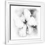 Gramercy White
