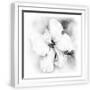 White Frame