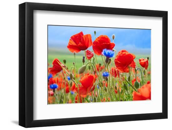Premium Photographic Print, , large