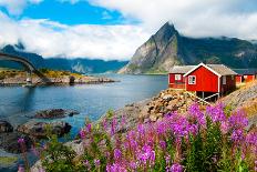 Tipical Red Fishing Houses in a Harbor on Lofoten Islands, Norway-Maria Uspenskaya-Photographic Print