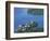 Maria Worth from Pyramidenkogel, Lake Worther, Carinthia, Austria, Europe-Jean Brooks-Framed Photographic Print