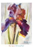 Colors of Iris I-Maria Zielinksa-Mounted Art Print