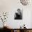 Marian Anderson (1897-1993)-Carl Van Vechten-Giclee Print displayed on a wall