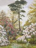 Pretty Woodland Garden-Marian Chase-Giclee Print