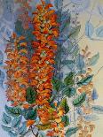 Papuan Butterflies 1, 1917-18-Marian Ellis Rowan-Giclee Print